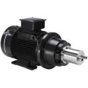 Grundfos CH Pump