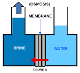 ro figure a