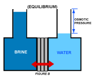 ro figure b