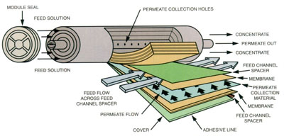 element cross section